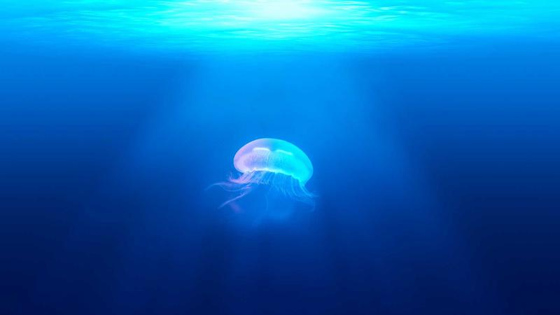 Rewiring Your Brain for Wealth: Neuroplasticity and Financial Abundance