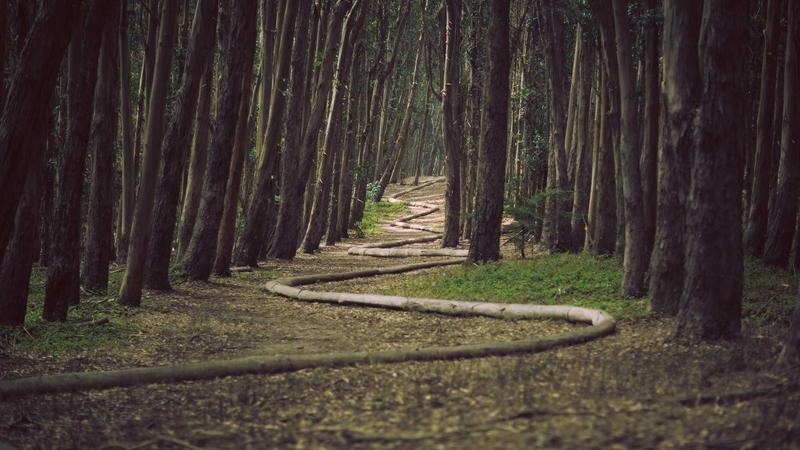 “Organized Planning”: The Game-Changing Strategy Hidden in Think and Grow Rich