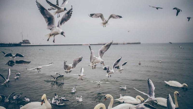 The Power of Decision: Conquer Procrastination and Take Control of Your Destiny