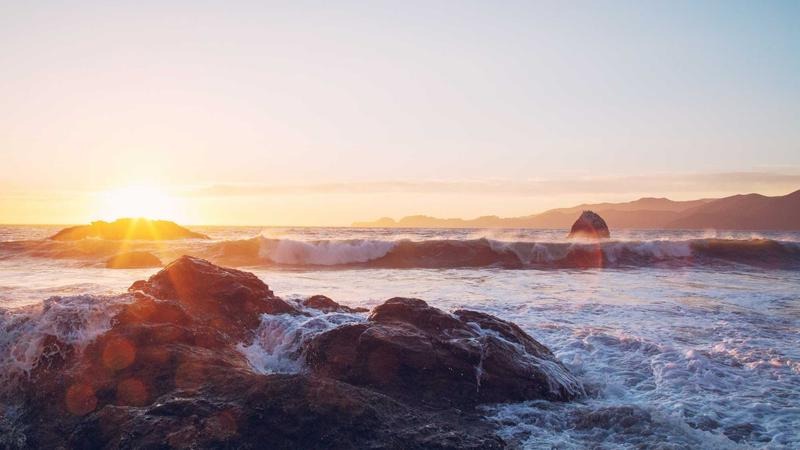 Riding the Wave: How Seasonal Trends Can Catapult Your Content to Viral Status