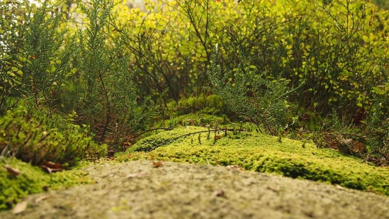 Beyond the Hype: 3 Real-World AI Applications Making a Difference Today