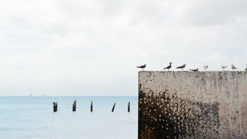 Unlock Your Inner Spielberg: A Beginner’s Guide to AI Video Generation