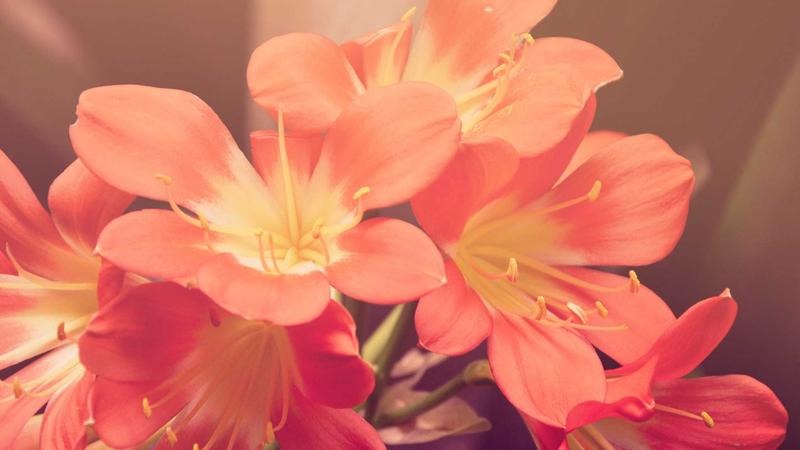 API Security Nightmares: 5 Critical Vulnerabilities You’re Overlooking (And How to Fix Them)