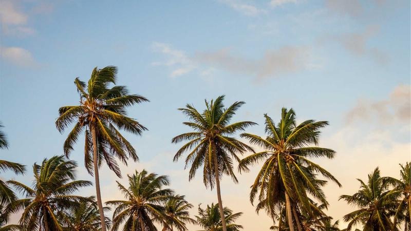 From Zero to Hero: Mastering Twitter Threads for Maximum Impact