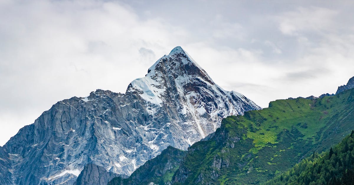 The Zenith of Success: How Self-Actualization Drives Revolutionary Business Innovation and Unstoppable Growth